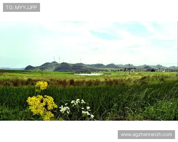 云顶公司是不是传销：分析云顶公司商业模式是否符合传销的法律定义