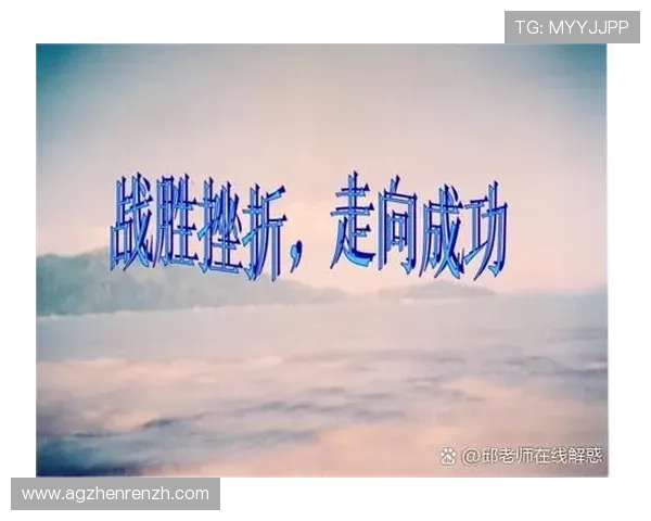 结合实际案例分析ag电子放分的成功经验与失败教训